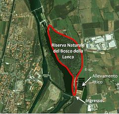 Bosco della Lanca: riserva naturale